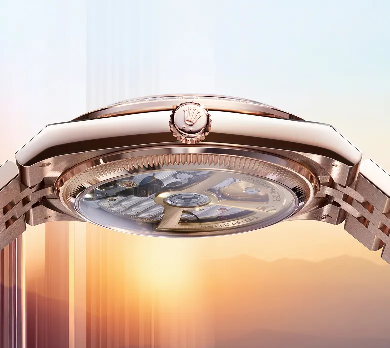 Rolex Watches Land-Dweller