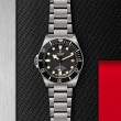 TUDOR Pelagos Watch - M25610TNL-0001 at Lenkersdorfer