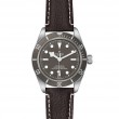 TUDOR Black Bay 58 Watch - M79010SG-0001 at Lenkersdorfer