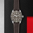 TUDOR Black Bay 58 Watch - M79010SG-0001 at Lenkersdorfer