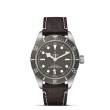 TUDOR Black Bay 58 Watch - M79010SG-0001 at Lenkersdorfer