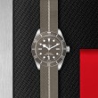 TUDOR Black Bay 58 Watch - M79010SG-0002 at Lenkersdorfer