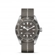 TUDOR Black Bay 58 Watch - M79010SG-0002 at Lenkersdorfer