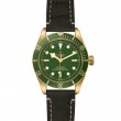 TUDOR Black Bay 58 Watch - M79018V-0001 at Lenkersdorfer