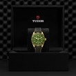 TUDOR Black Bay 58 Watch - M79018V-0001 at Lenkersdorfer