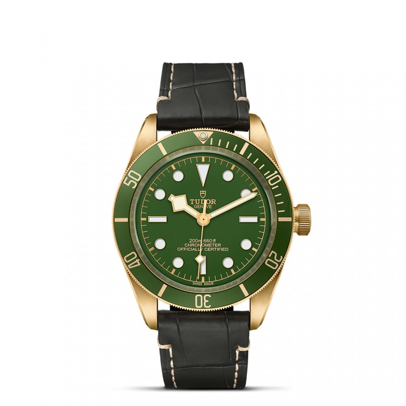 TUDOR Black Bay 58 Watch - M79018V-0001 at Lenkersdorfer