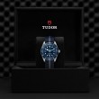 TUDOR Black Bay 58 - M79030B-0003 at Lenkersdorfer