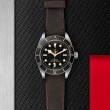 TUDOR Black Bay 58 Watch - M79030N-0002 at Lenkersdorfer