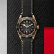 TUDOR Black Bay Bronze Watch - M79250BA-0001 at Lenkersdorfer