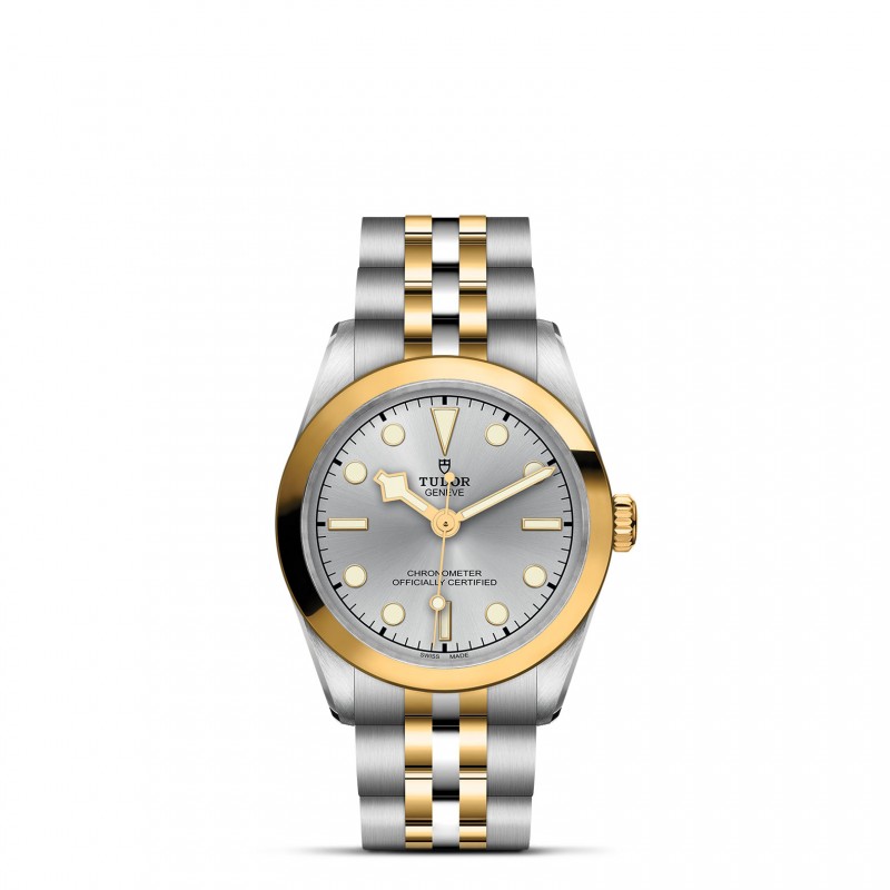 TUDOR Black Bay 31/36/39/41 S&G Watch - M79603-0002 at Lenkersdorfer