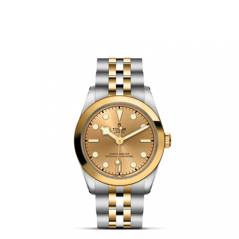 TUDOR Black Bay 31/36/39/41 S&G Watch - M79603-0005 at Lenkersdorfer
