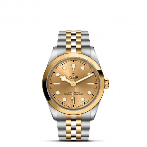 TUDOR Black Bay 36 S&G - M79643-0005 at Lenkersdorfer