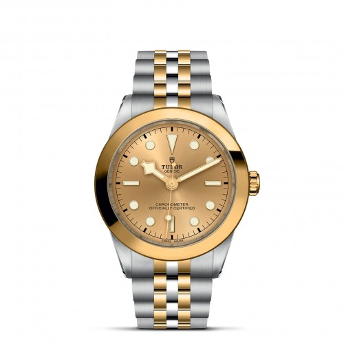 TUDOR Black Bay 39 S&G - M79663-0005 at Lenkersdorfer