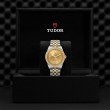 TUDOR Black Bay 31/36/39/41 S&G Watch - M79673-0007 at Lenkersdorfer