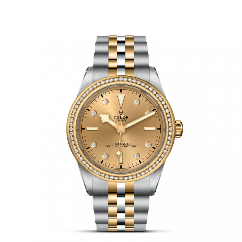 TUDOR Black Bay 31/36/39/41 S&G Watch - M79673-0007 at Lenkersdorfer