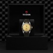 TUDOR Black Bay Watch - M79733N-0003 at Lenkersdorfer
