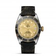 TUDOR Black Bay Watch - M79733N-0003 at Lenkersdorfer