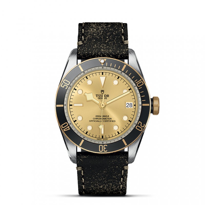 TUDOR Black Bay Watch - M79733N-0003 at Lenkersdorfer