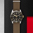 TUDOR Black Bay Watch - M79733N-0005 at Lenkersdorfer