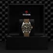 TUDOR Black Bay Watch - M79733N-0005 at Lenkersdorfer
