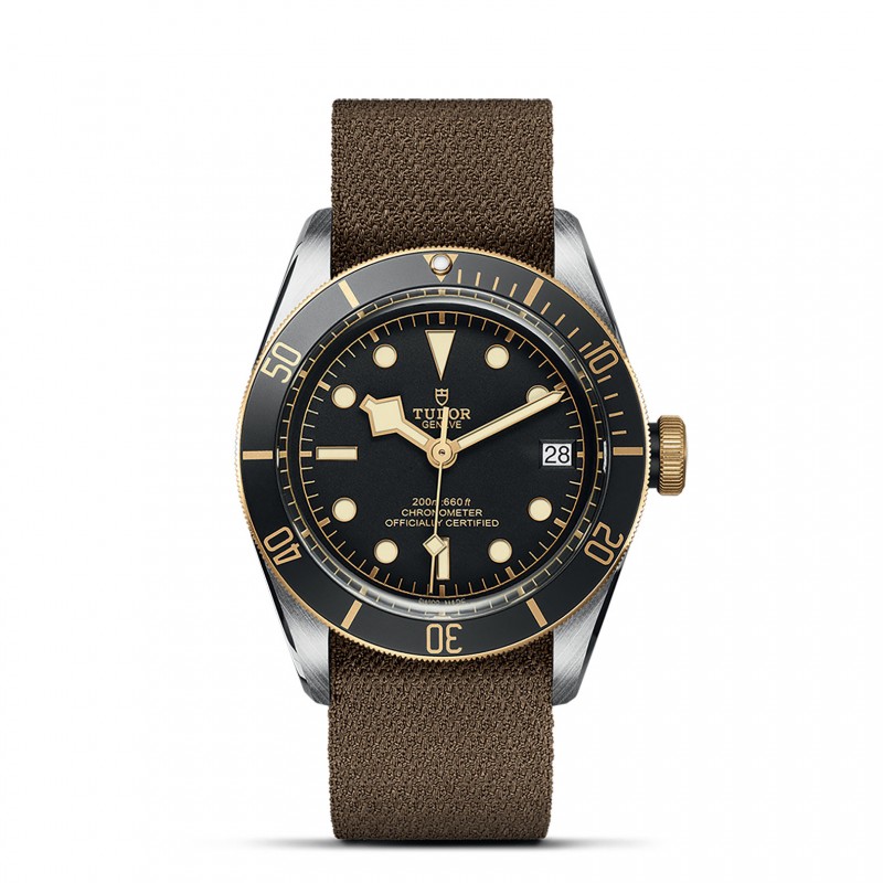 TUDOR Black Bay Watch - M79733N-0005 at Lenkersdorfer