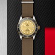 TUDOR Black Bay Watch - M79733N-0006 at Lenkersdorfer