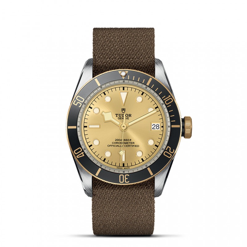 TUDOR Black Bay Watch - M79733N-0006 at Lenkersdorfer