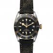 TUDOR Black Bay Watch - M79733N-0007 at Lenkersdorfer