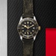 TUDOR Black Bay Watch - M79733N-0007 at Lenkersdorfer
