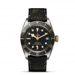 TUDOR Black Bay Watch - M79733N-0007 at Lenkersdorfer