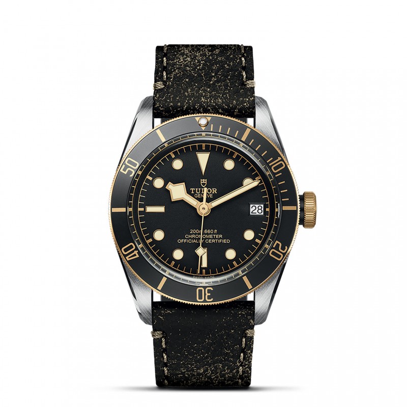 TUDOR Black Bay Watch - M79733N-0007 at Lenkersdorfer