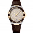 41 mm, Steel - Yellow Gold On Leather Strap