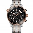 44 mm, Sedna™ Gold On Steel - Sedna™ Gold