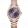 34 mm, Sedna™ Gold On Sedna™ Gold