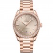 38 mm, Sedna™ Gold On Sedna™ Gold