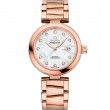 34 mm, Sedna™ Gold On Sedna™ Gold