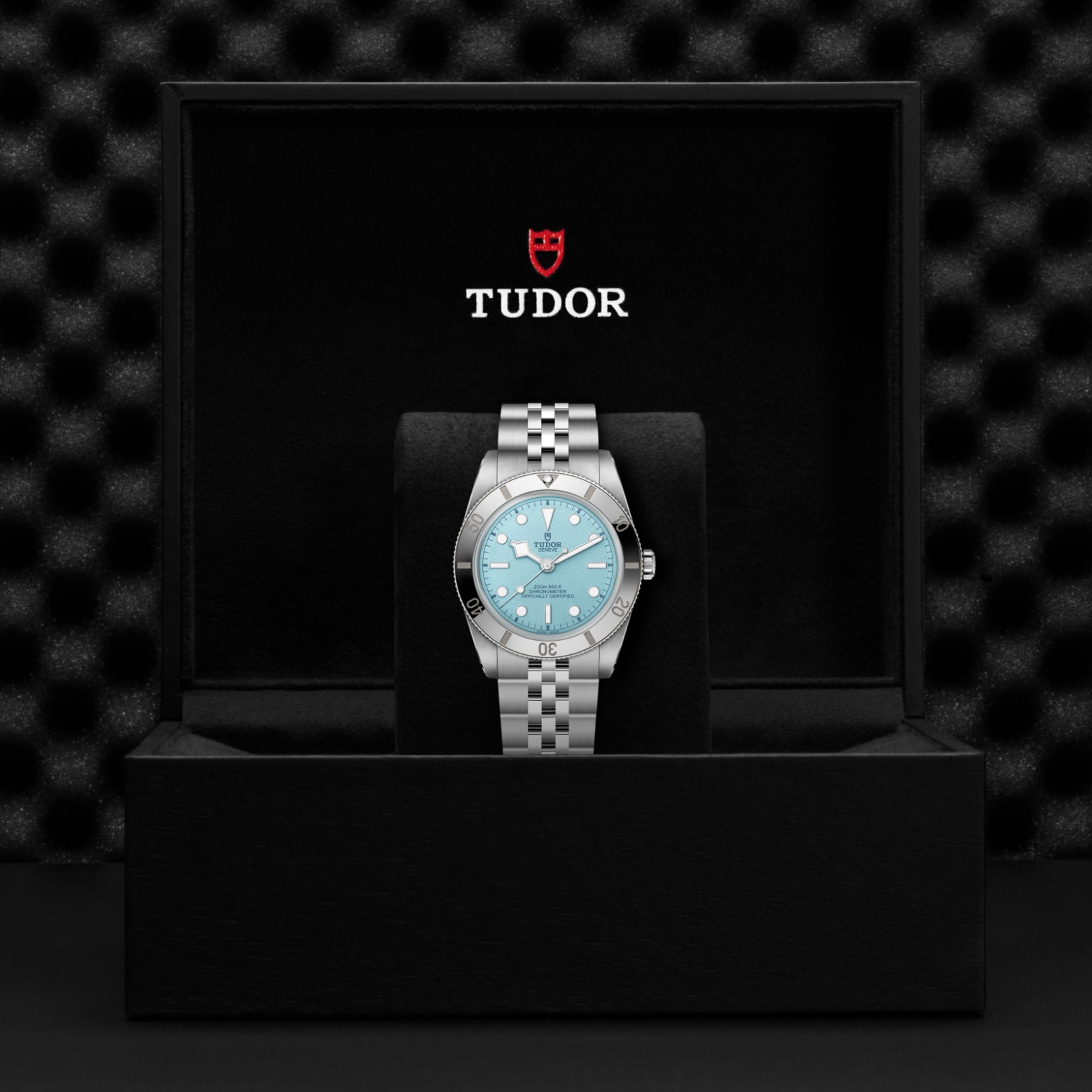 TUDOR Daring Watch - M79000-0001 at Lenkersdorfer