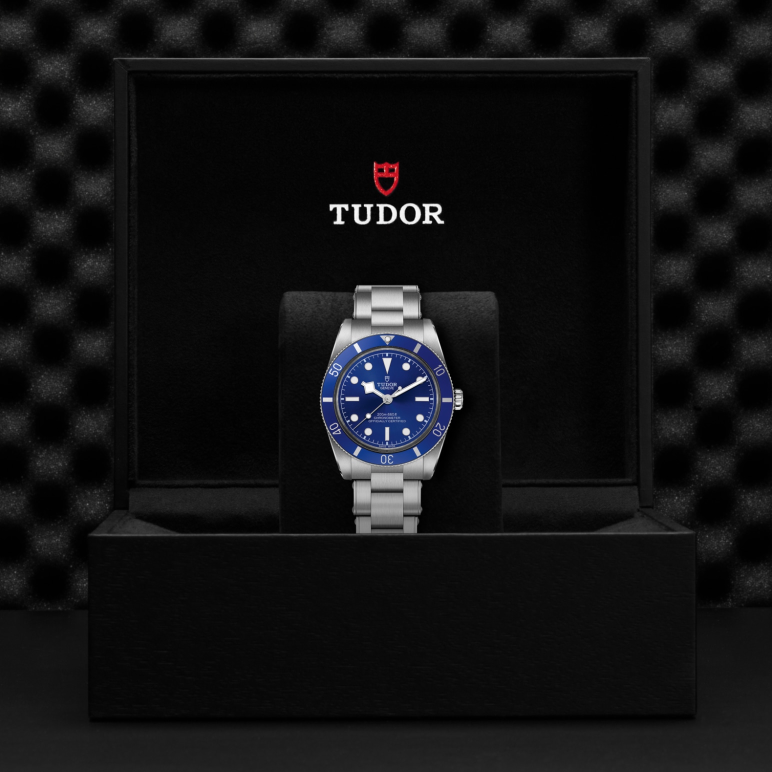 TUDOR Black Bay 54 Watch - M79000B-0001 at Lenkersdorfer