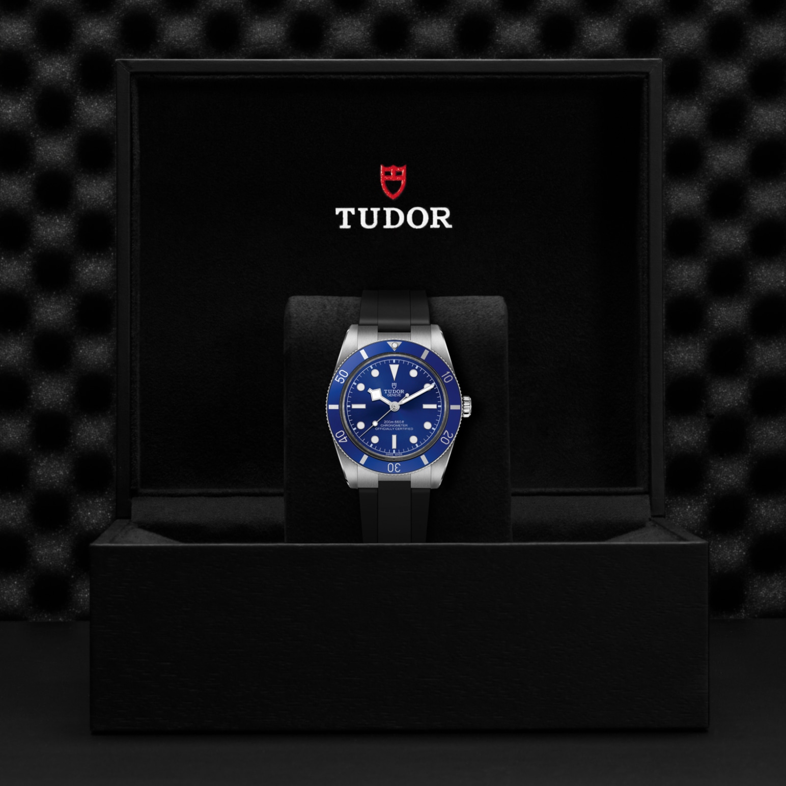 TUDOR Black Bay 54 Watch - M79000B-0002 at Lenkersdorfer