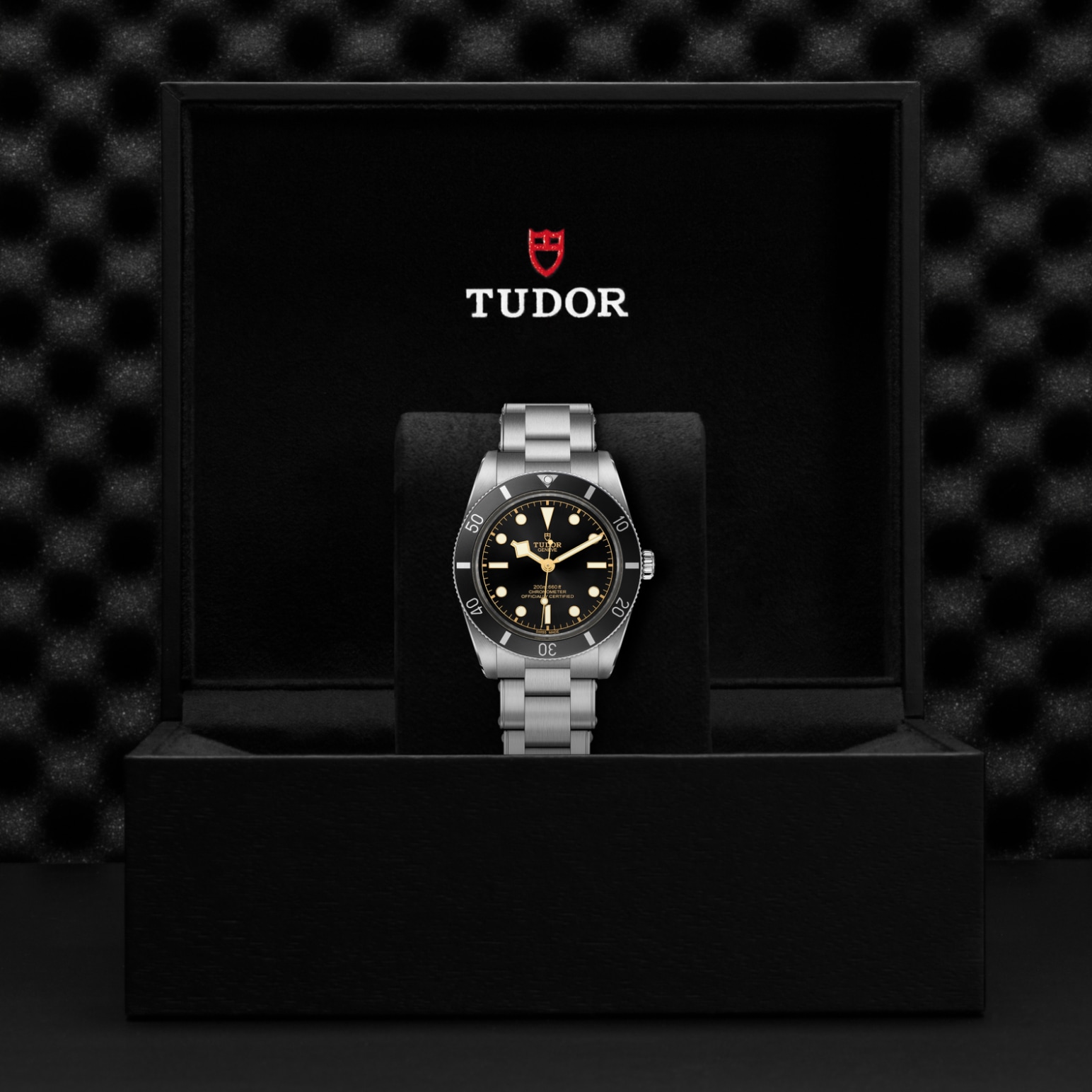 TUDOR Black Bay 54 Watch - M79000N-0001 at Lenkersdorfer