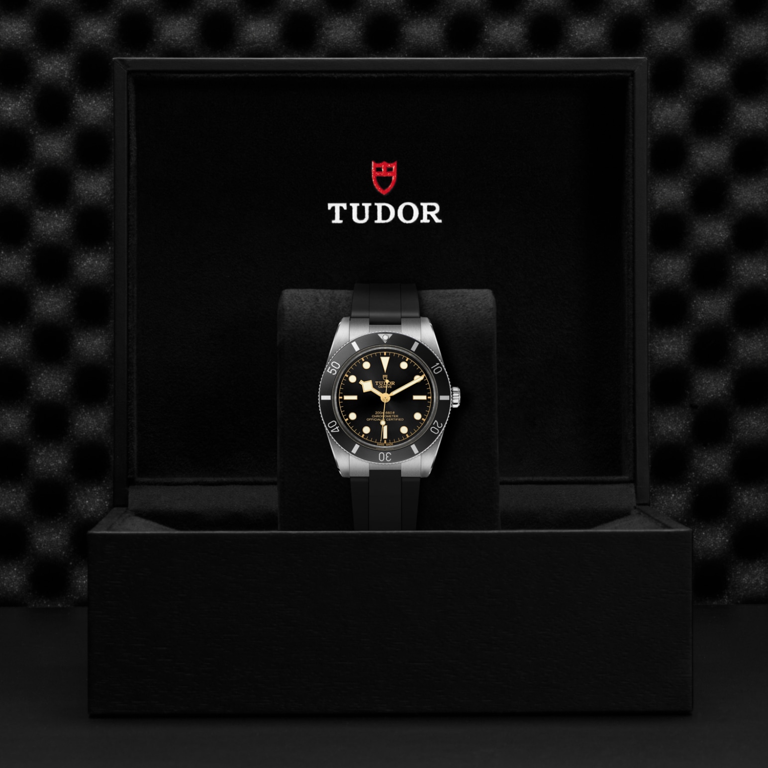 TUDOR Black Bay 54 Watch - M79000N-0002 at Lenkersdorfer