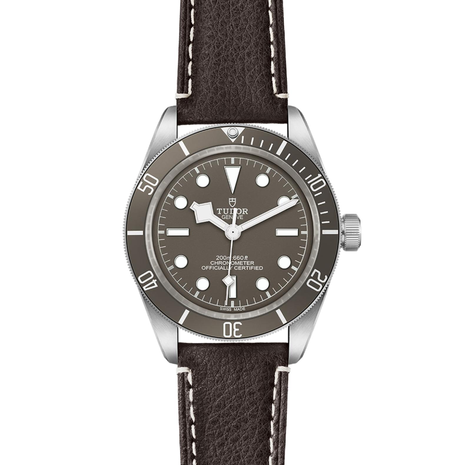TUDOR Black Bay 58 Watch - M79010SG-0001 at Lenkersdorfer