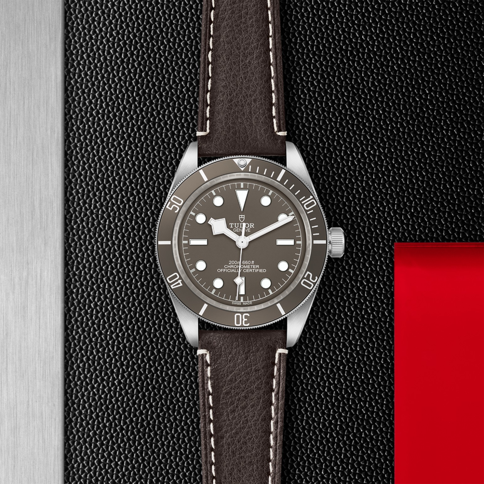 TUDOR Black Bay 58 Watch - M79010SG-0001 at Lenkersdorfer