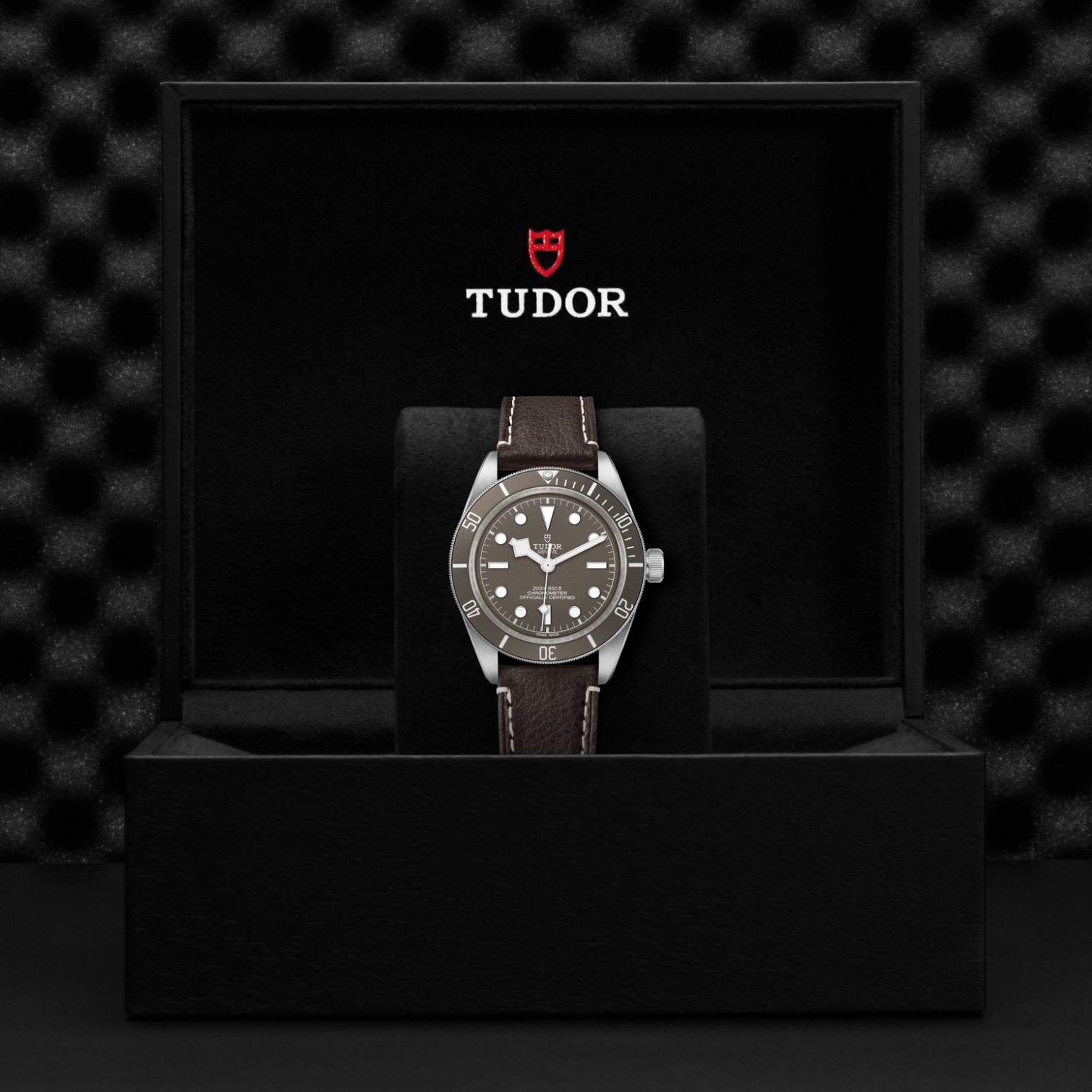 TUDOR Black Bay 58 Watch - M79010SG-0001 at Lenkersdorfer