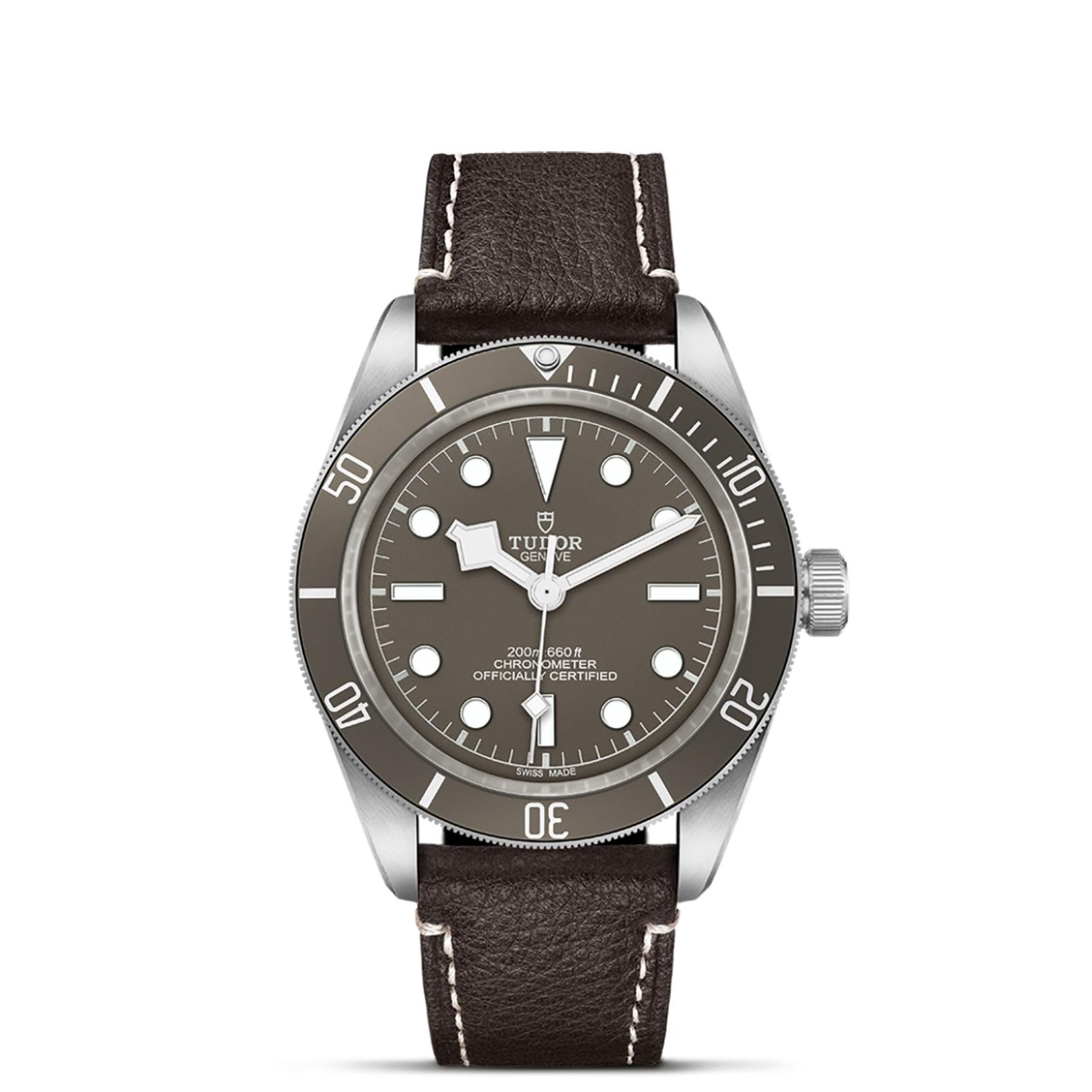 TUDOR Black Bay 58 Watch - M79010SG-0001 at Lenkersdorfer