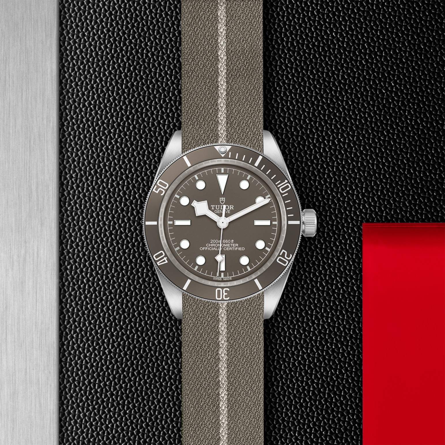 TUDOR Black Bay 58 Watch - M79010SG-0002 at Lenkersdorfer
