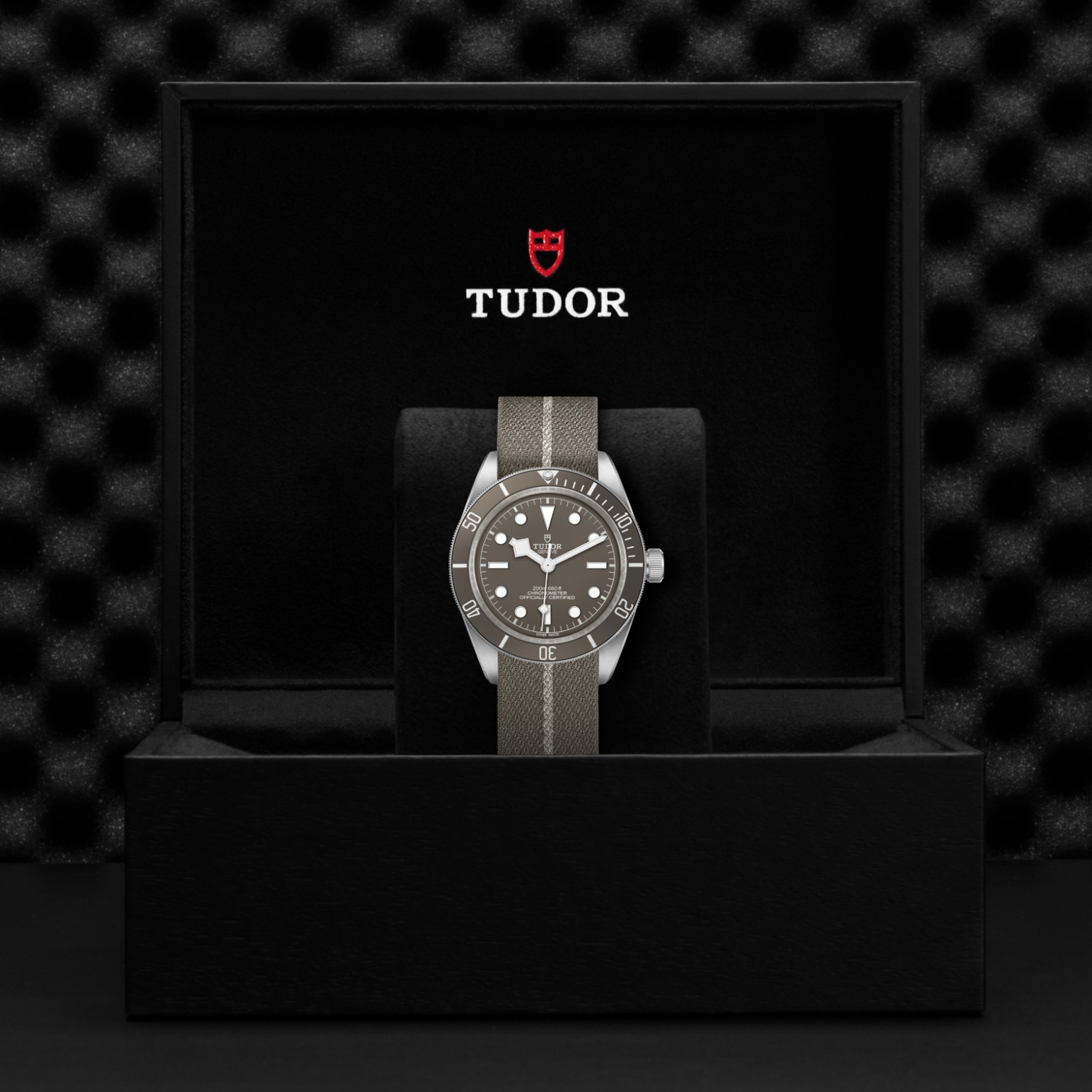 TUDOR Black Bay 58 Watch - M79010SG-0002 at Lenkersdorfer