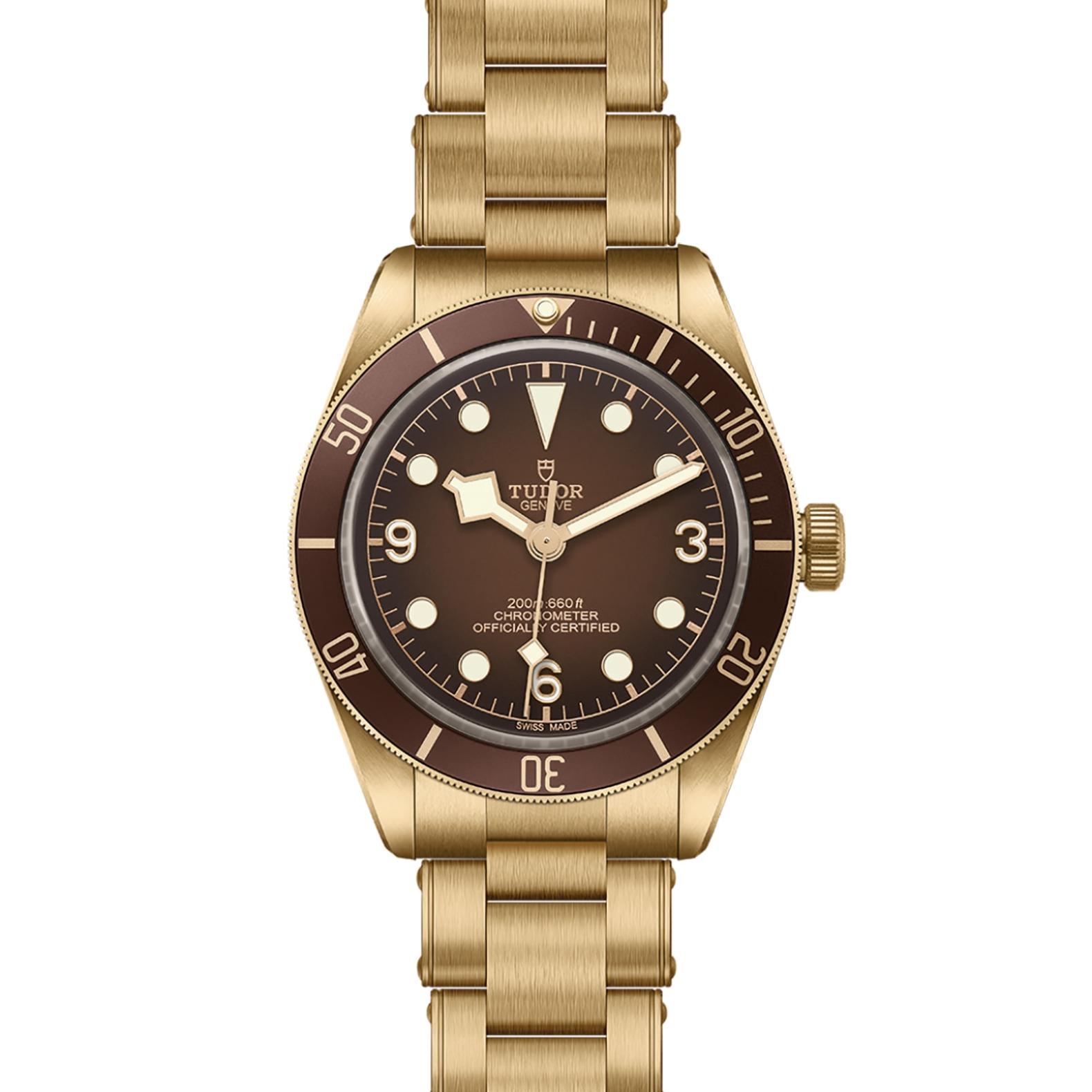 TUDOR Black Bay 58 Watch - M79012M-0001 at Lenkersdorfer