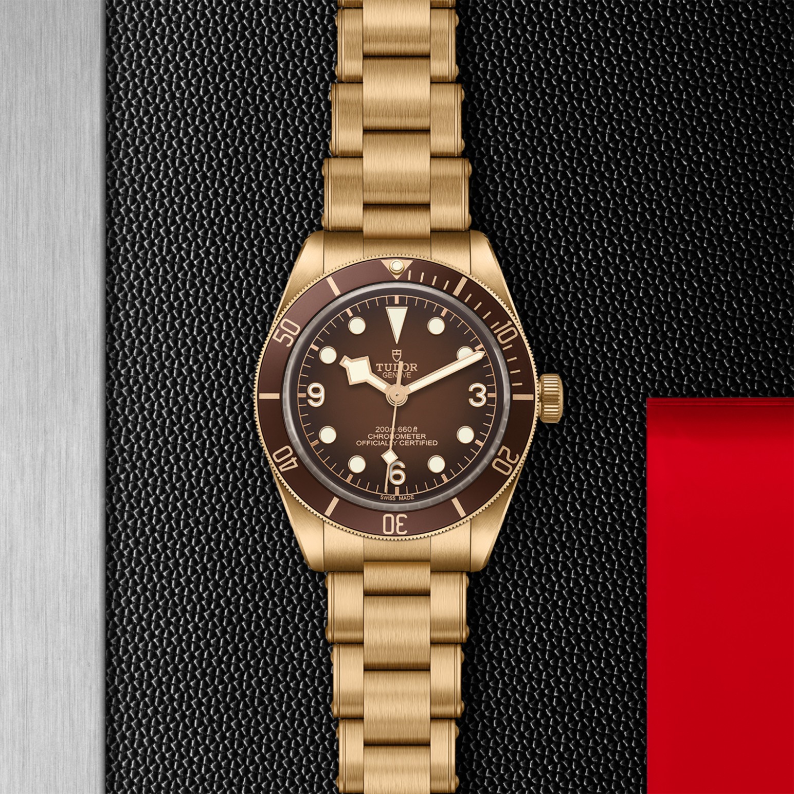 TUDOR Black Bay 58 Watch - M79012M-0001 at Lenkersdorfer