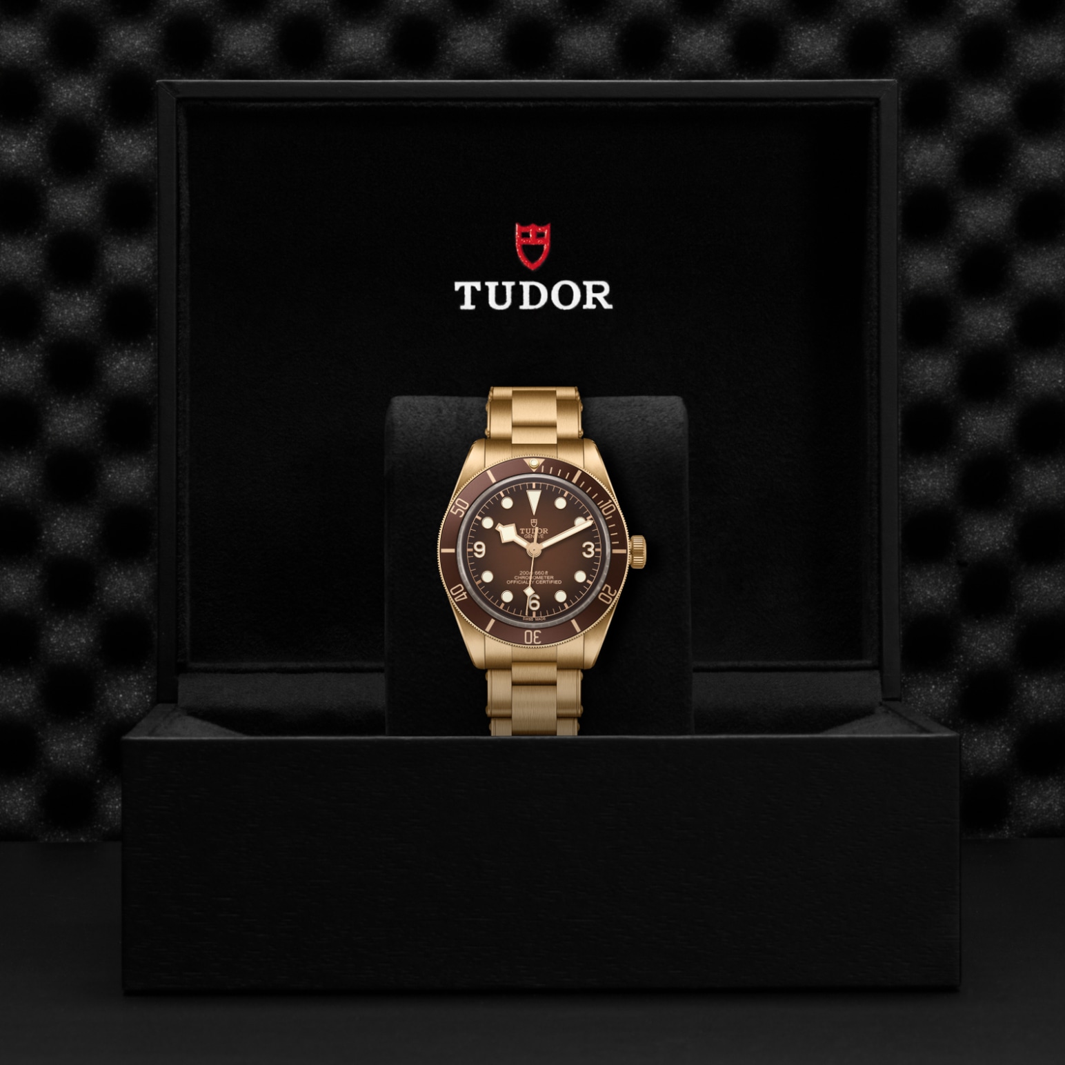 TUDOR Black Bay 58 Watch - M79012M-0001 at Lenkersdorfer